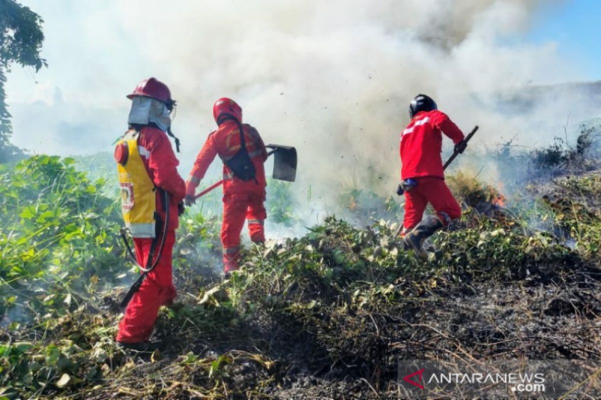 Manggala Agni Sultra dan kepolisian padamkan karhutla 12 hektare