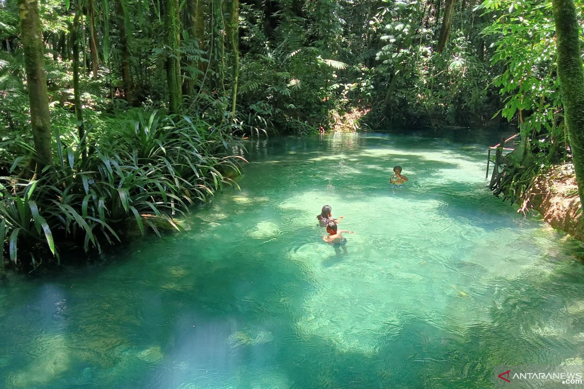 Wisatawan domestik mulai mengunjungi Kali Biru Raja Ampat