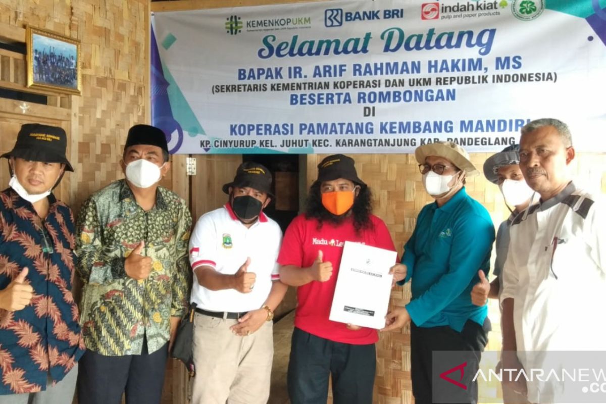 Kemenkop dan Dinkop Banten kolaborasi kembangkan potensi Umbi Sente Pandeglang