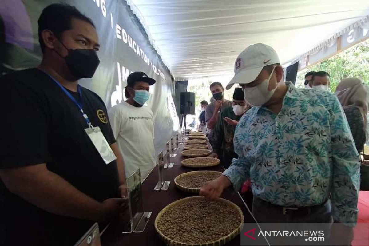 Menteri PPN: Ada peluang Magelang kembangkan kopi