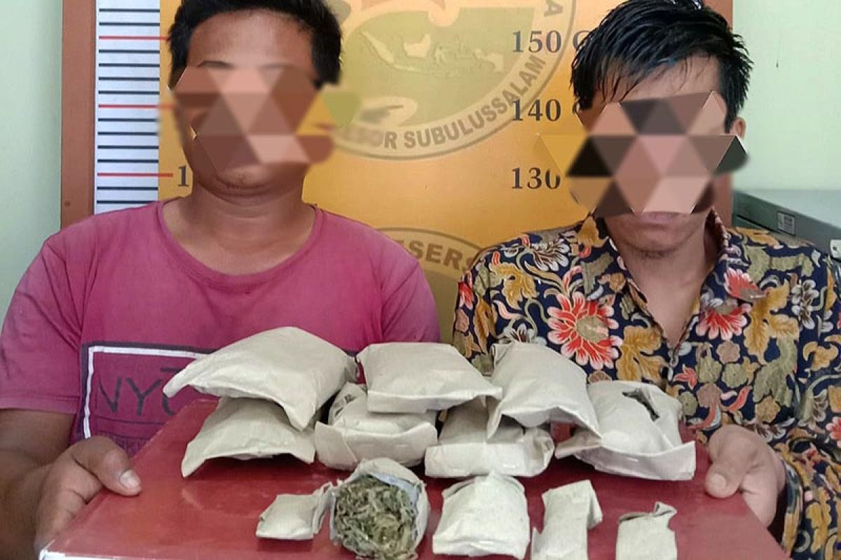 Polisi tangkap dua pemilik ratusan gram ganja kering siap edar