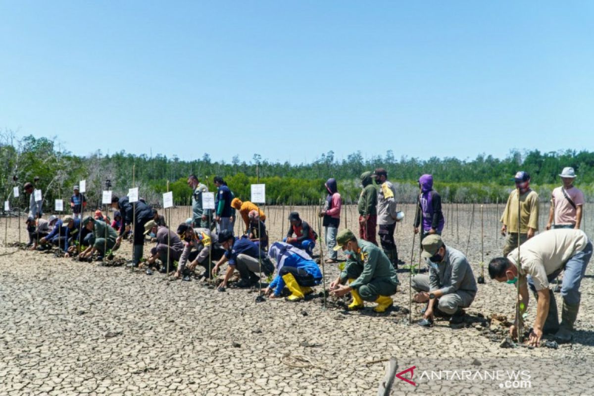 Dirjen KLHK rehabilitasi mangrove di kawasan Taman Nasional RAW Konsel