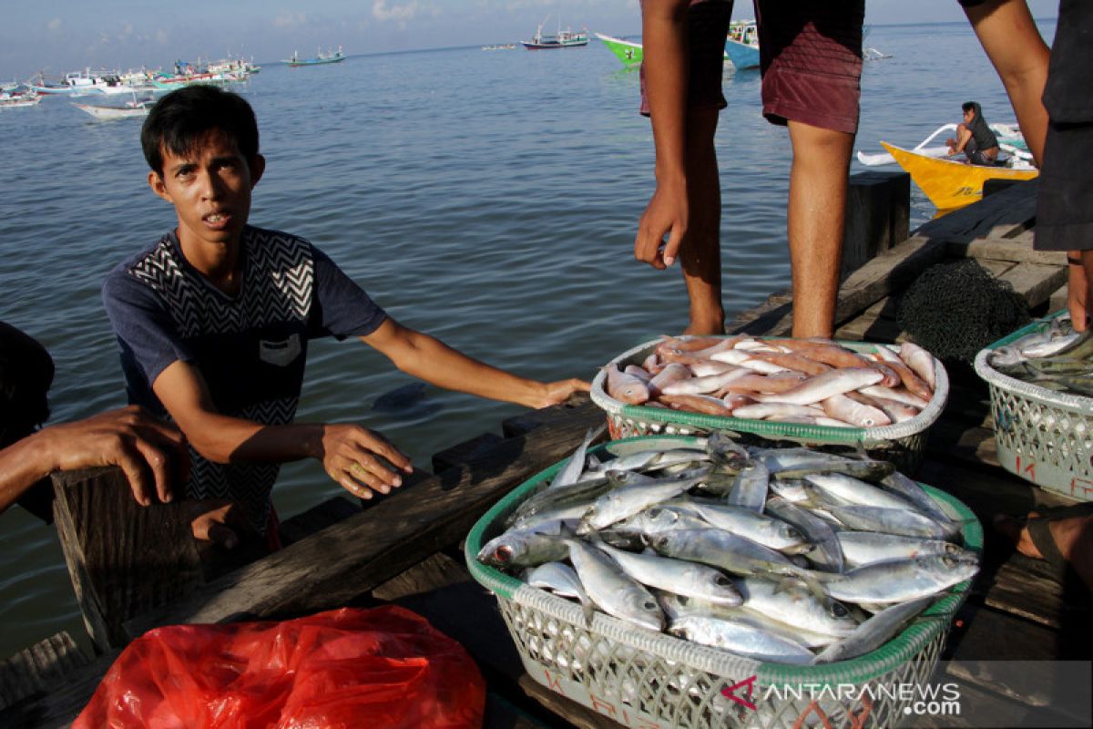 Pentingnya perkuat pendataan sistematis penangkapan ikan untuk kuota perikanan, bagaimana di Maluku?