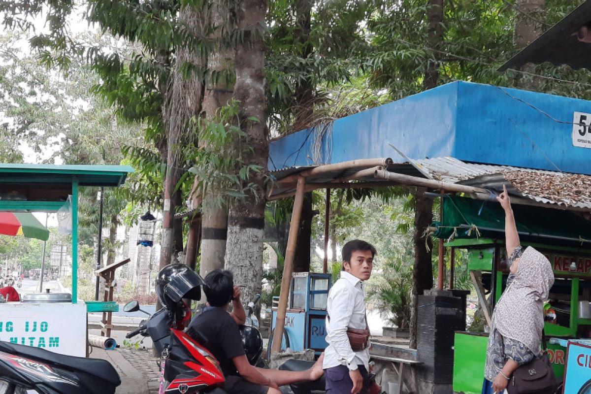 Ingin tangkap burung kecial, warga Lotim ini terjatuh dari pohon setinggi 15 meter