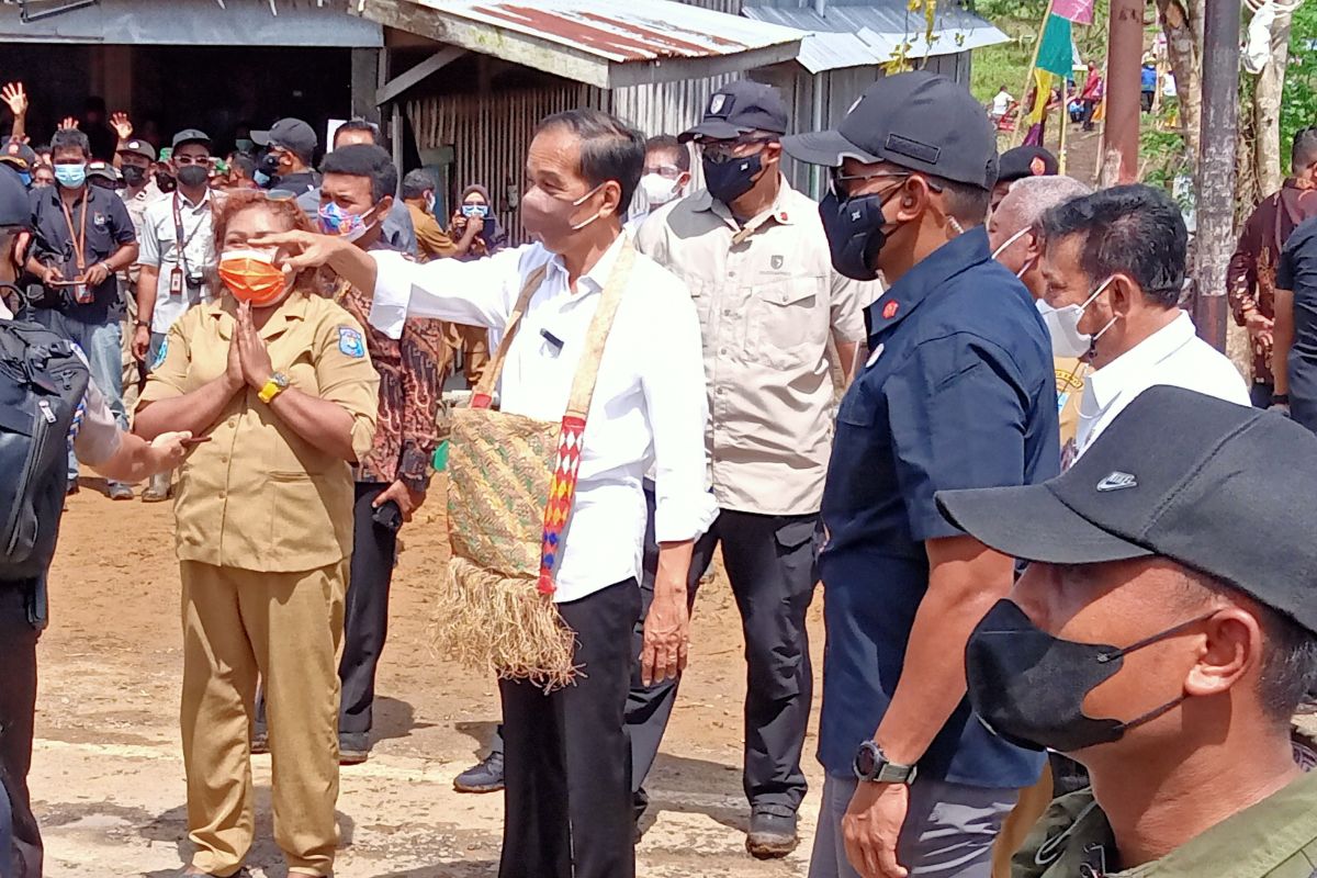 Presiden minta Provinsi Papua Barat tingkatkan produktivitas pertanian
