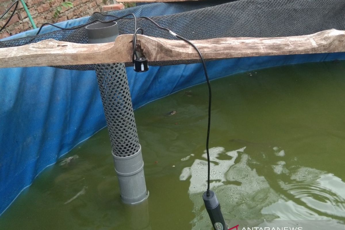 Dapat pelatihan, pembudi daya lele Mojokerto pantau kolam gunakan teknologi 