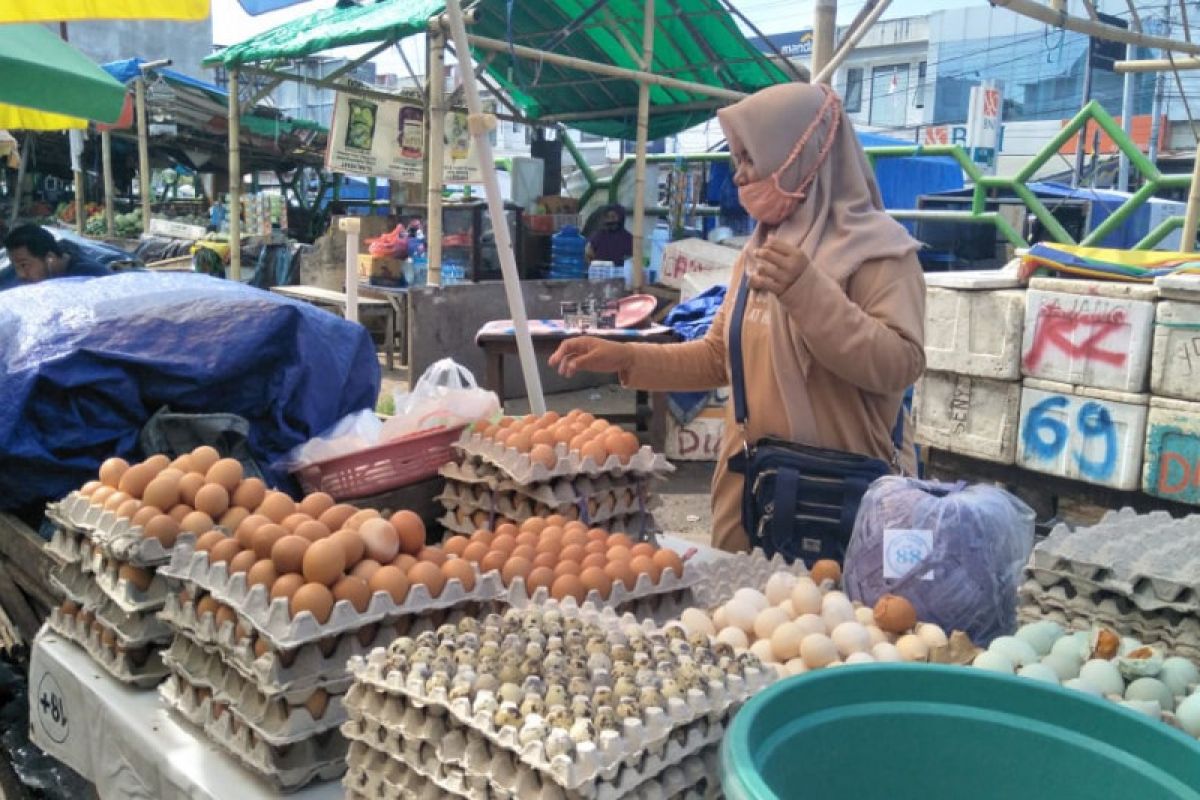 Distan Mataram setop mendatangkan telur ayam dari luar daerah