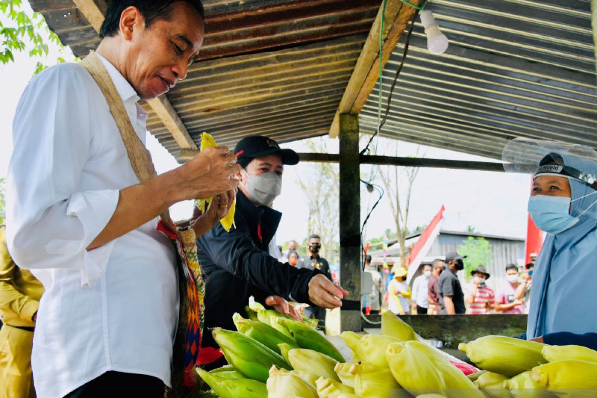 Presiden Jokowi di Sorong berkesempatan mampir beli jagung rebus di pinggir jalan