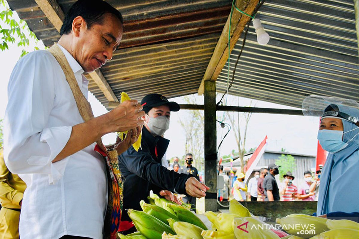 Presiden Jokowi di Sorong mampir beli jagung rebus di pinggir jalan