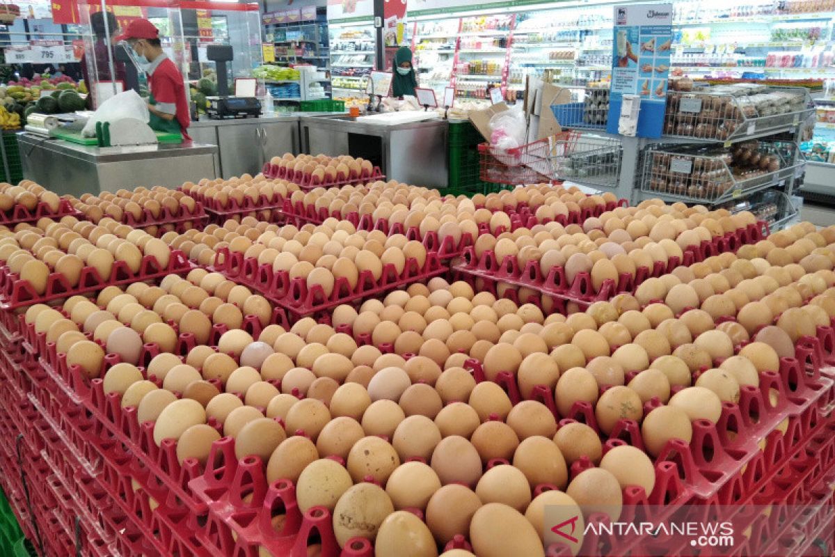 Harga telur ayam ras sumbang deflasi di Kab. Kudus