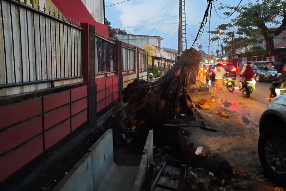 Depok kerahkan 150 petugas guna mendata kondisi pohon di sekitar jalan