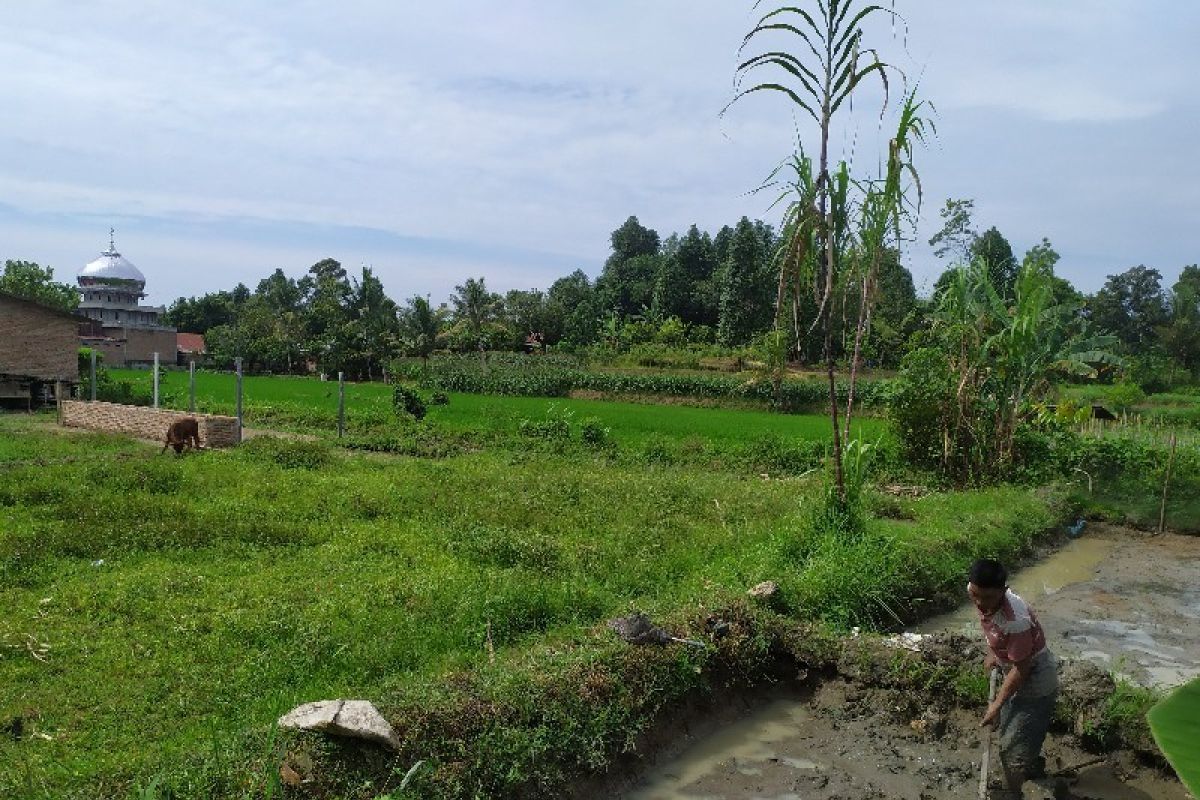 KPHB upayakan peningkatan kesejahteraan petani Simalungun