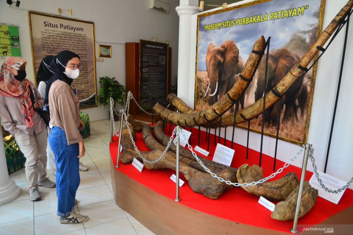 Perlu dukungan banyak pihak perbaiki pengelolaan museum