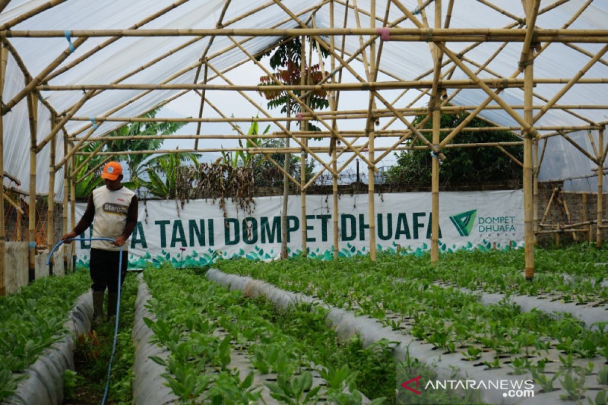 Prudential Syariah beri manfaat lebih melalui teknik "green house" di Desa Tani Dompet Dhuafa