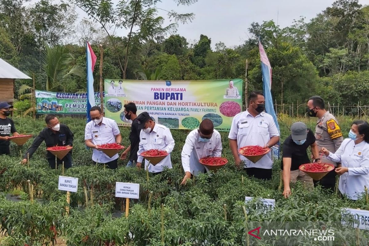 Pemkab Bangka Tengah dorong warga kembangkan pertanian keluarga