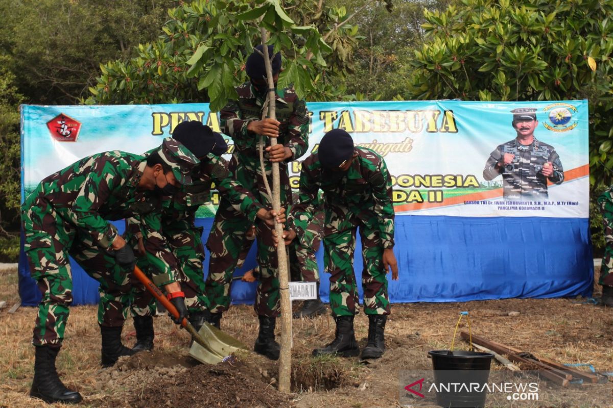 TNI AL tanam Tabebuya percantik Koarmada II Surabaya