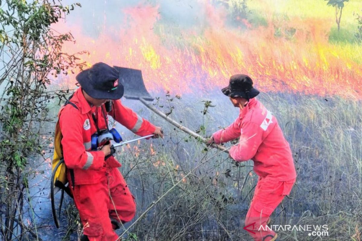 Manggala Agni Sulawesi Tenggara padamkan kebakaran lahan daerah Konawe Selatan
