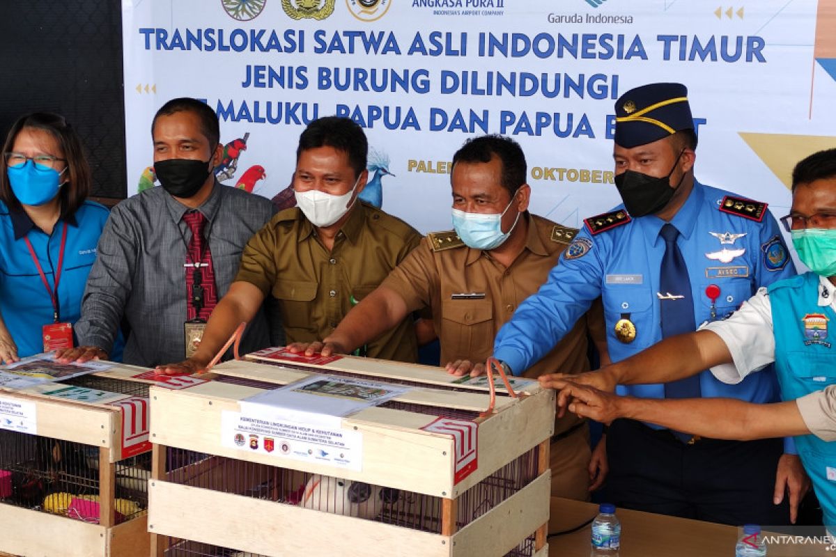 Polda Sumsel ungkap kasus penyelundupan satwa dilindungi senilai Rp1,3 miliar