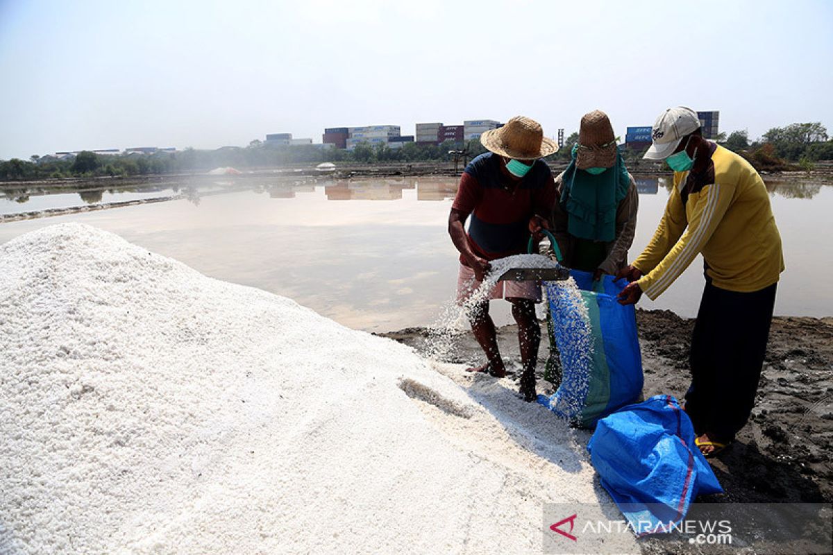 Pemkot Surabaya-DKPP sinergi tingkatkan kualitas produksi garam petani