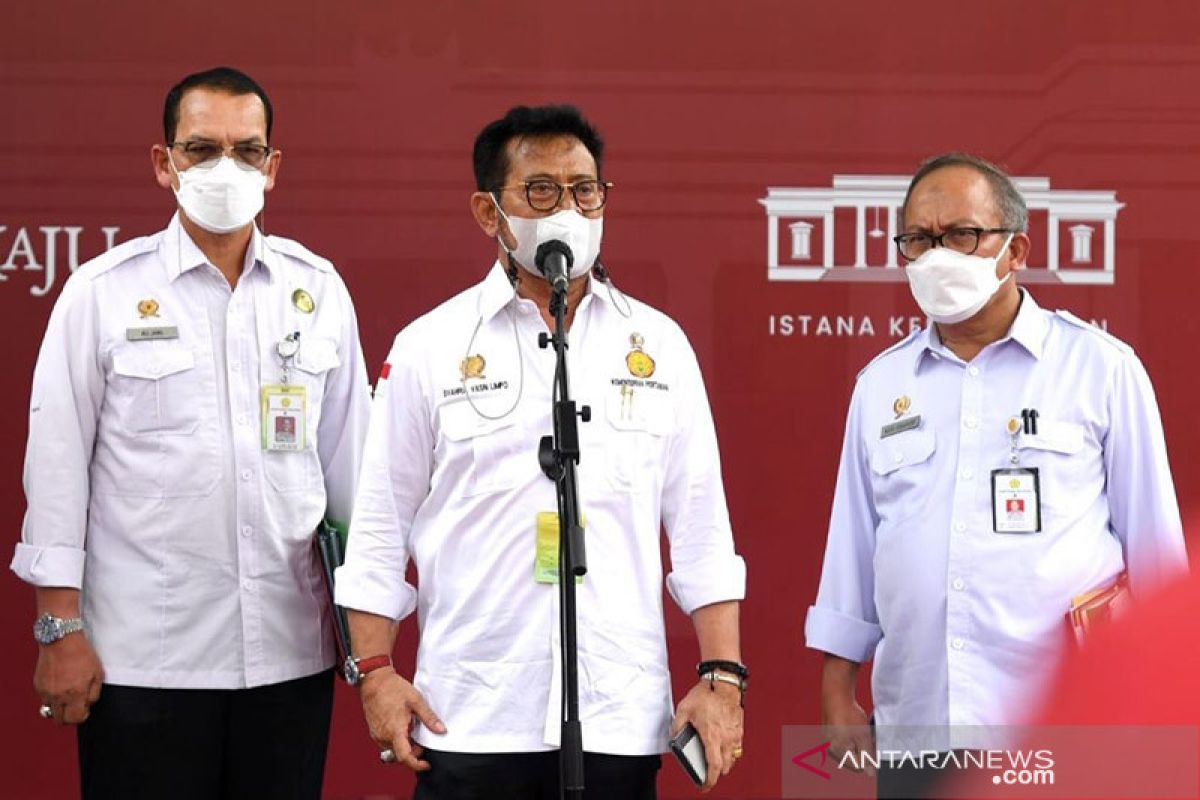 Presiden Jokowi minta Mentan tingkatkan kapasitas produksi jagung