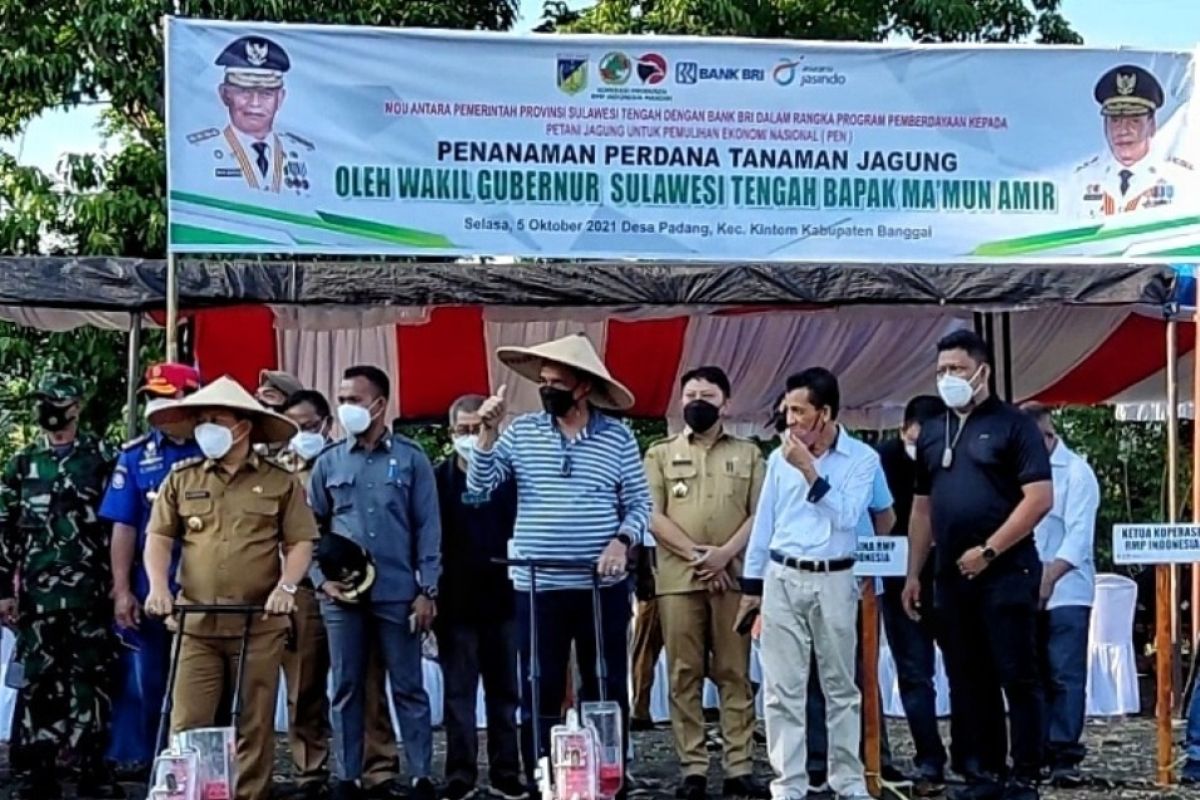 Pemprov Sulteng  dukung Koperasi RMP berdayakan warga tanam jagung