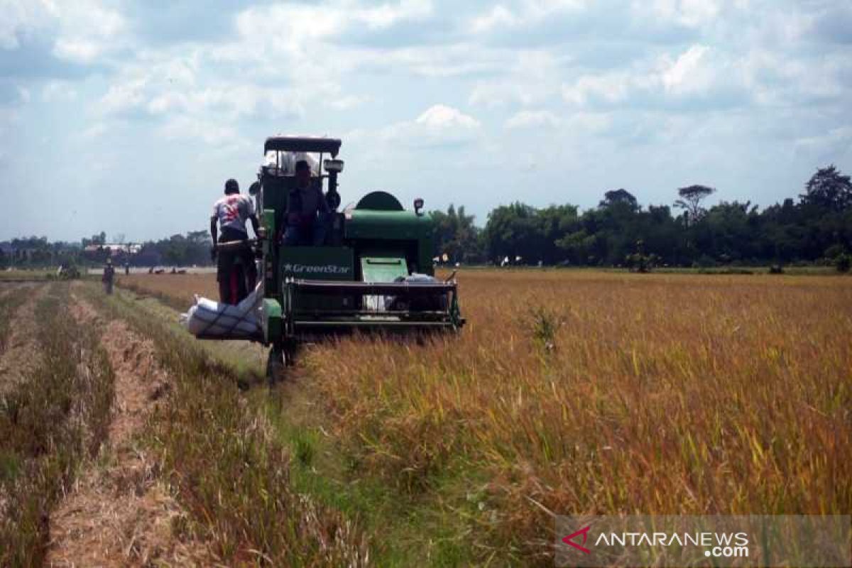 Boyolali dorong petani tanam padi varietas Inpari