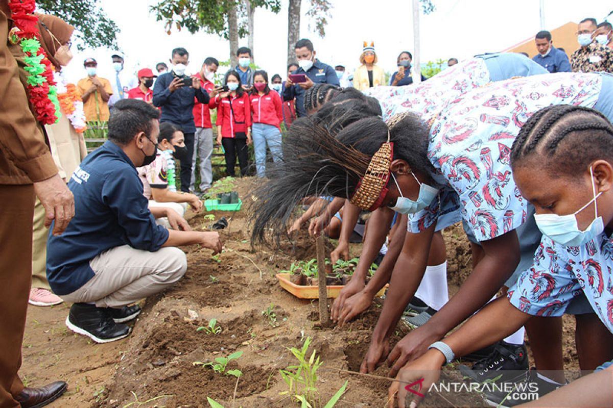 Presiden yakin anak muda Papua bisa jadi petani milenial dan entrepreuner berkelas dunia