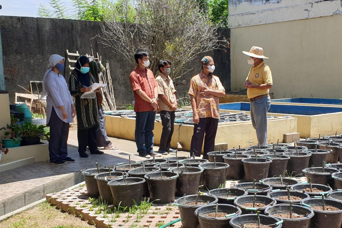 LP2M Unsri mendukung dosen kembangkan pertanian urban