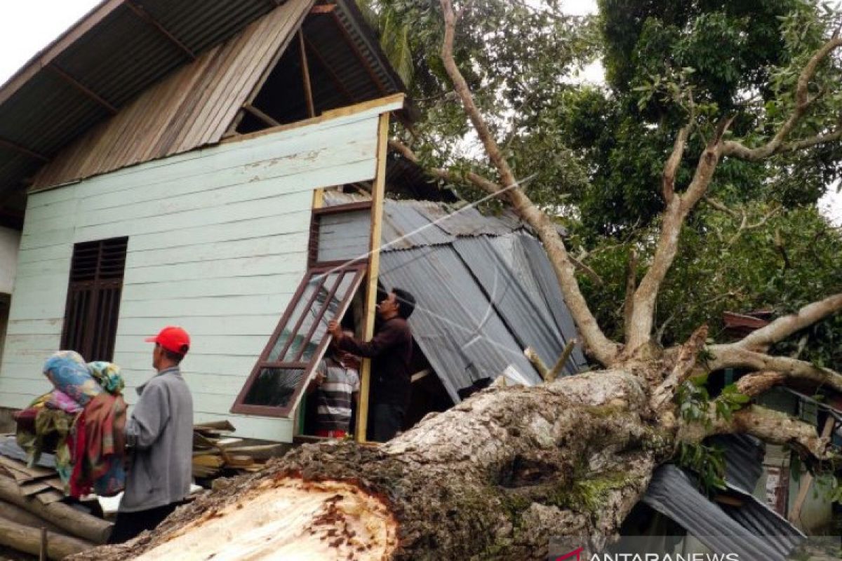 BMKG prakirakan angin kencang landa sebagian wilayah Indonesia, Jambi berpotensi hujan