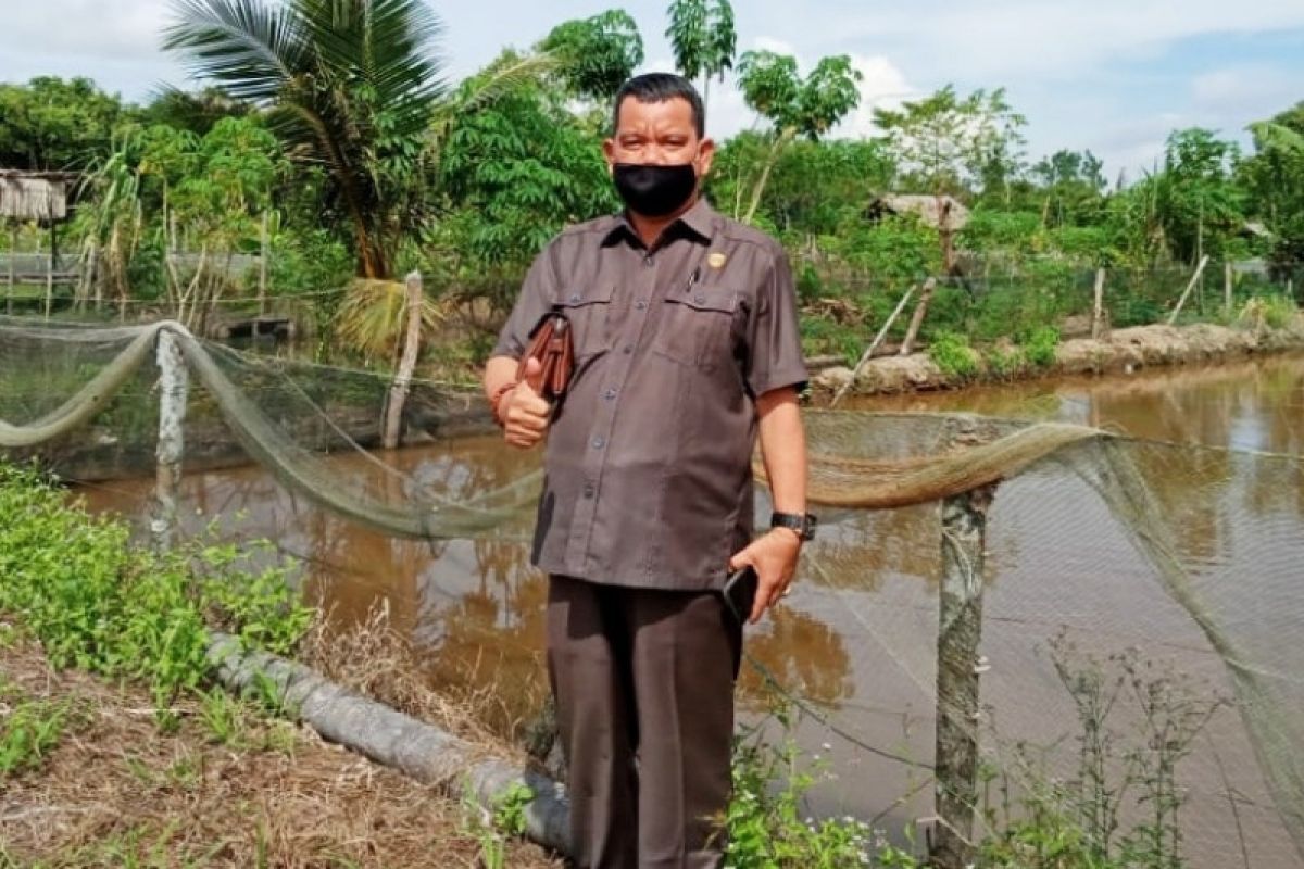 Legislator Kotim perjuangkan bantuan peremajaan kelapa sawit rakyat