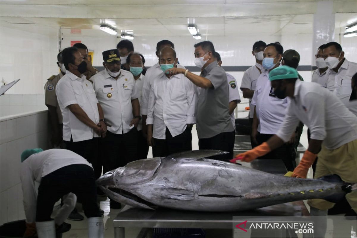 Menteri Trenggono tinjau proses pengolahan ikan di Ambon, wujudkan Maluku sebagai LIN