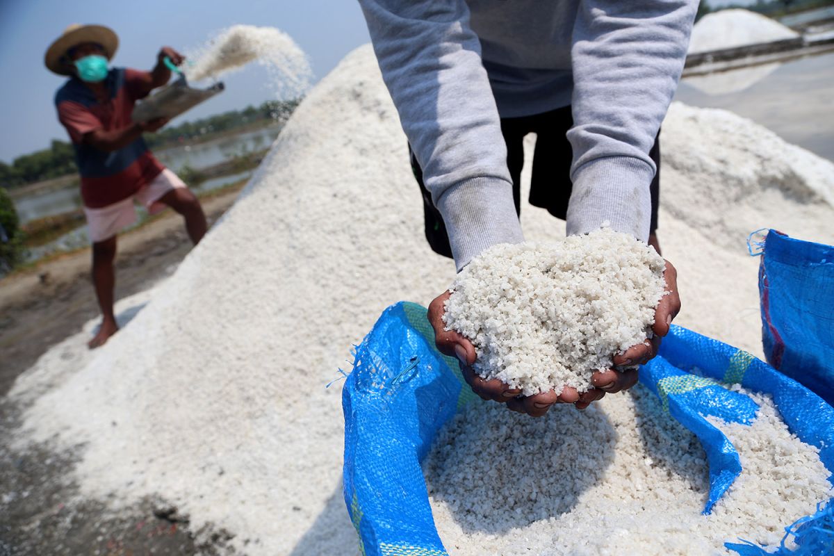 DKPP Surabaya siap anggarkan pengadaan geomembran untuk petani garam