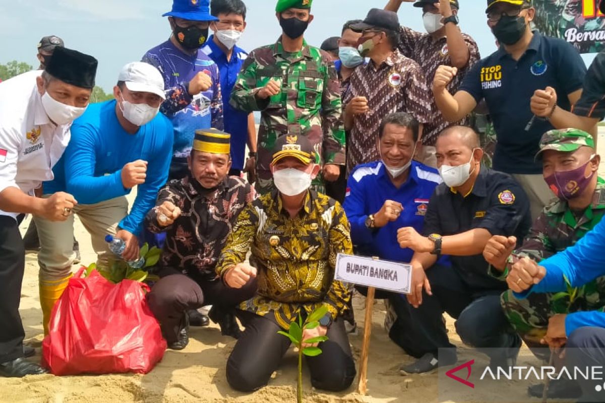 HNSI Bangka tanam ribuan batang mangrove di wilayah pesisir