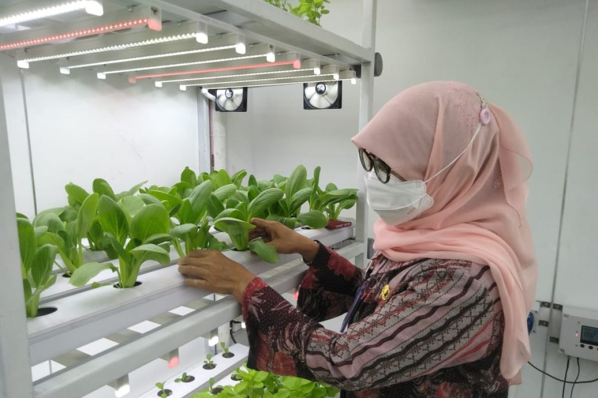 Kadis KPKP DKI Jakarta resmikan "container farming" di Ragunan