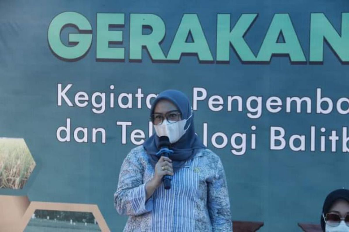 DPRD Sulbar minta lahan padi tidak dialihfungsikan jadi permukiman warga