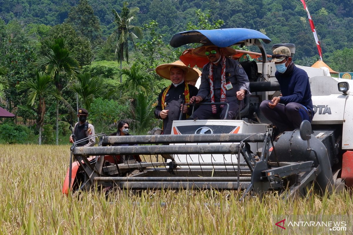 Kalimantan Barat berorientasi swasembada dengan teknologi dan intensifikasi