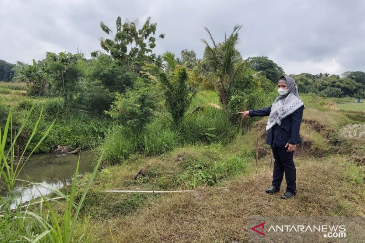 DPRD Kulon Progo mengharapkan BBWSSO normalisasi Sungai Papah di Sentolo