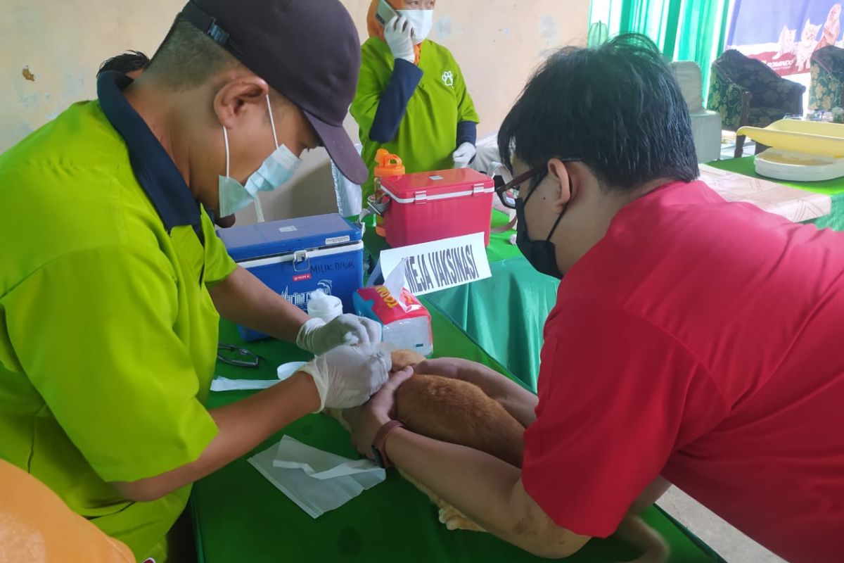 Kabupaten OKU percepat vaksinasi rabies