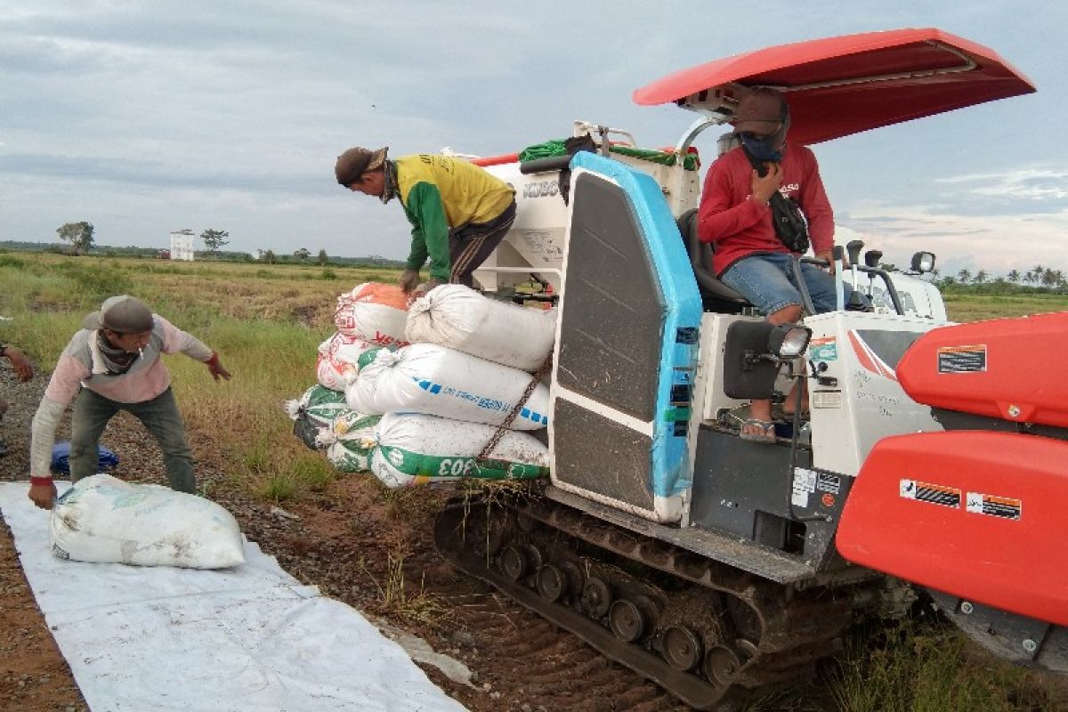 DKPP Seruyan harapkan petani tanam padi organik