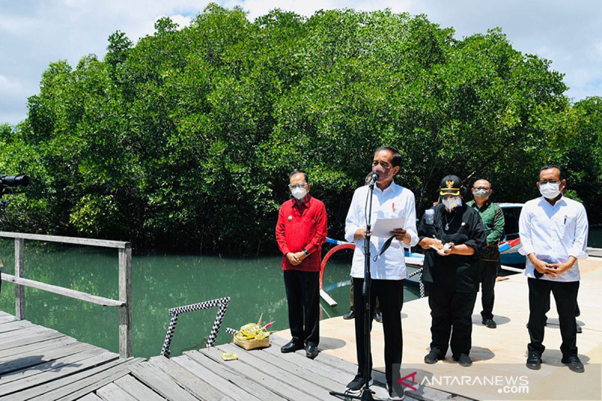 Presiden Jokowi ingin daerah lain mencontoh rehabilitasi mangrove Bali