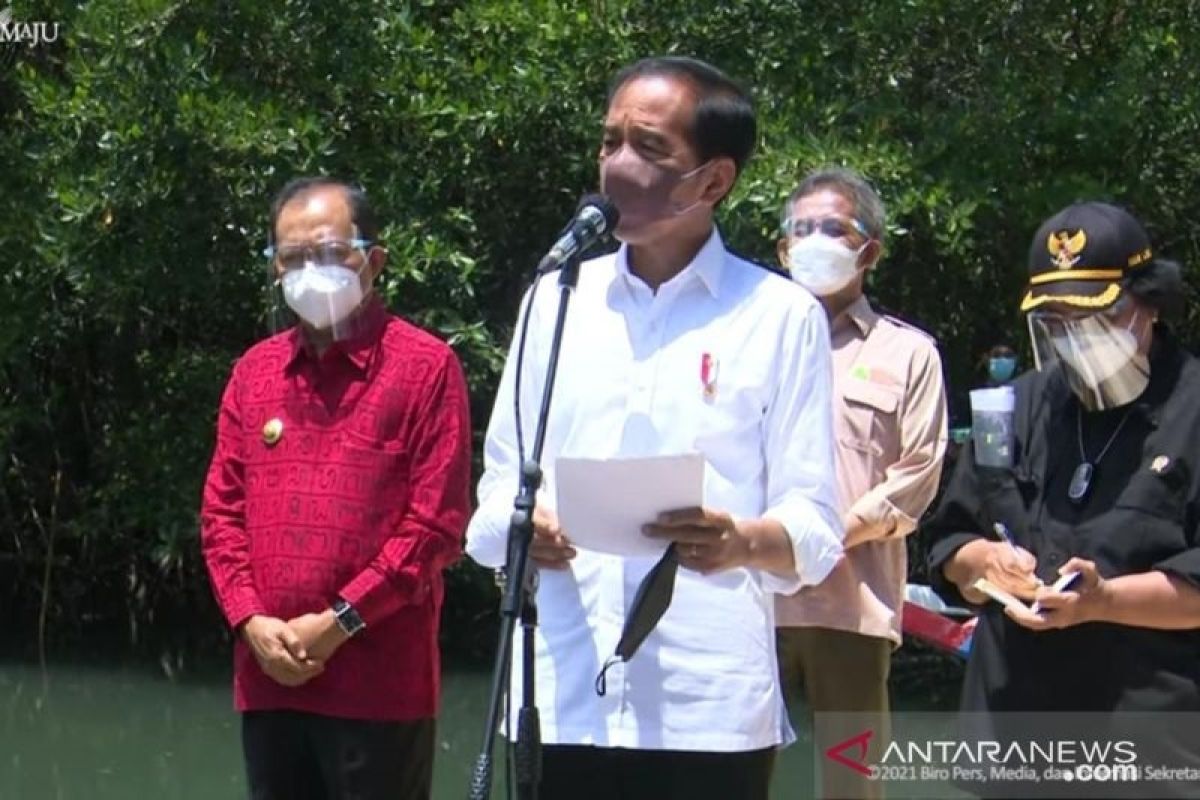 Presiden Jokowi ingin daerah lain bisa mencontoh rehabilitasi mangrove Bali