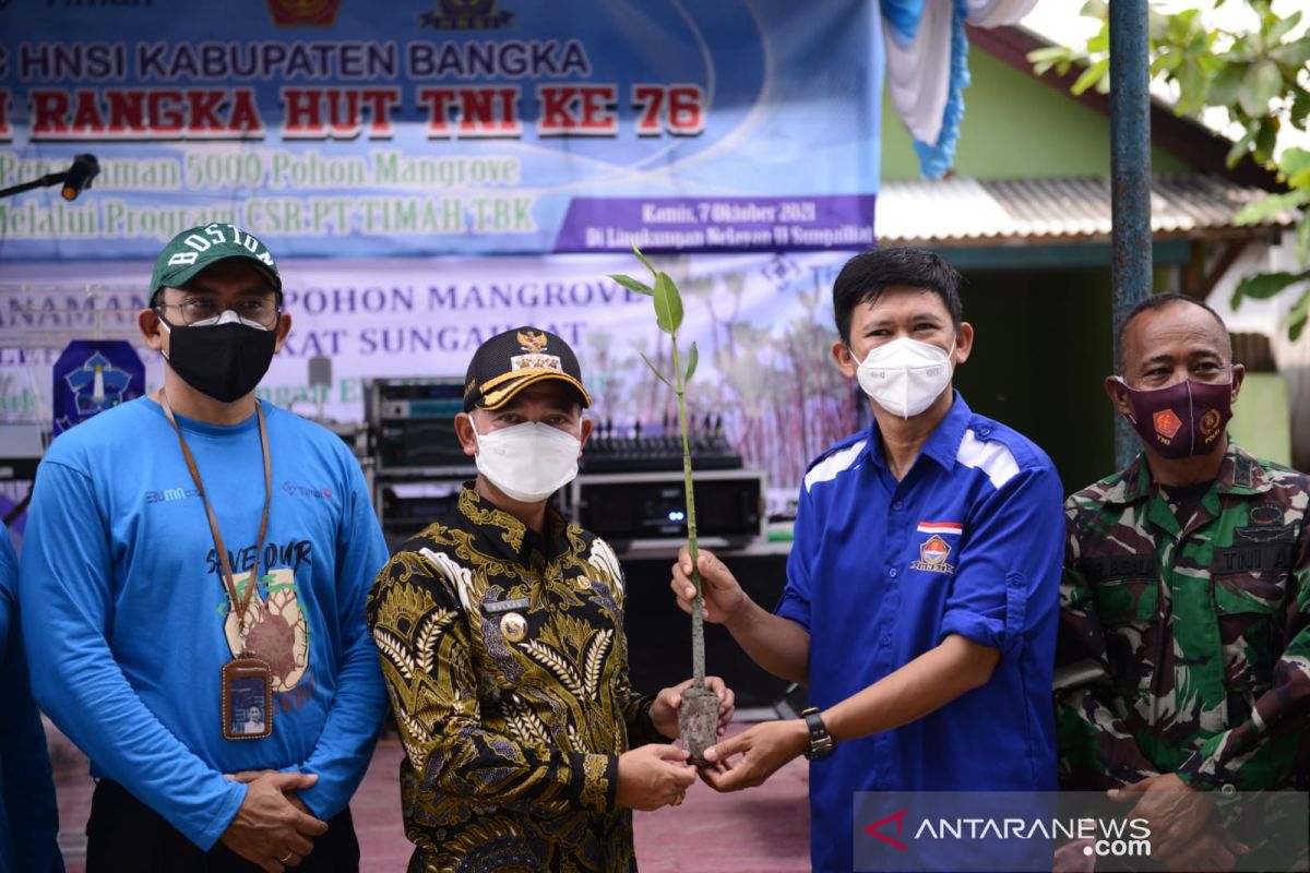 PT Timah - TNI tanam 5.000 mangrove di pesisir Pantai Bangka