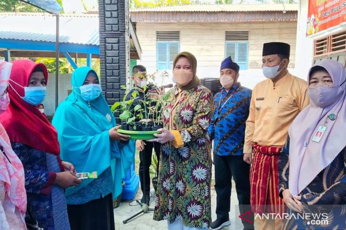 Puluhan petani prempuan Sengkilo Inhu terima bibit sayur gratis