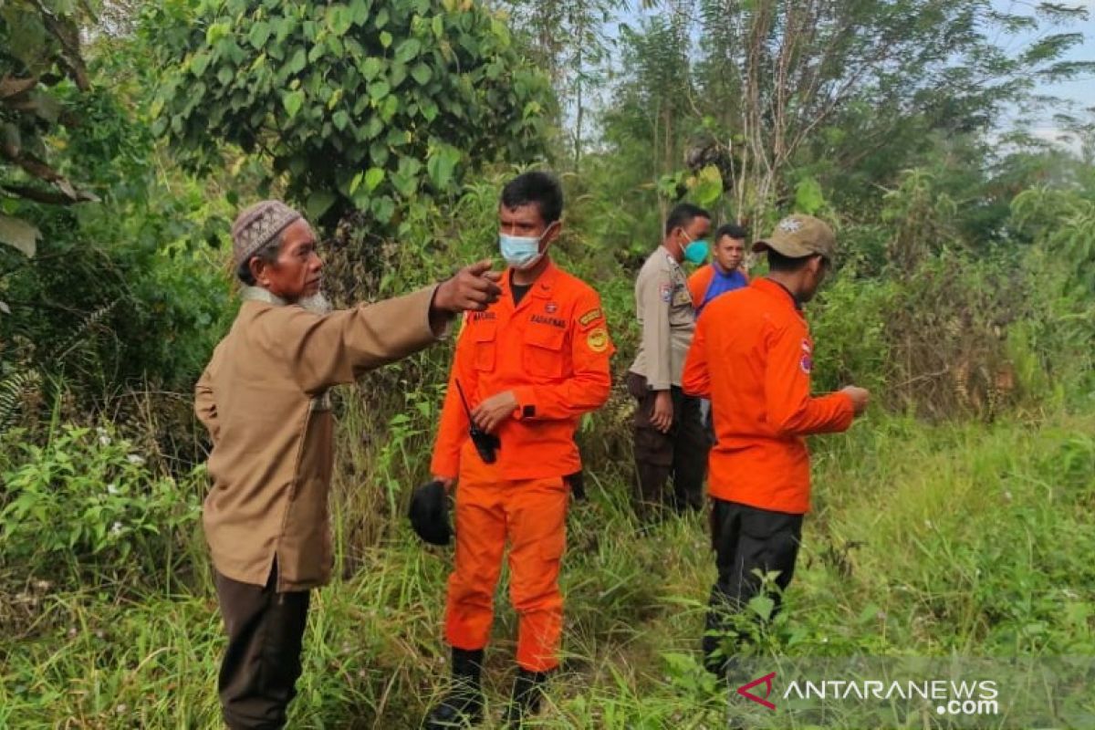 Basarnas gabungan belum temukan petani yang hilang di hutan Mahalona