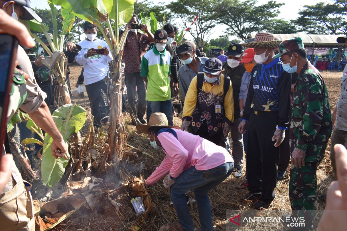 Distanhorbun Gelar Gerakan Pengendalian Organisme Pengganggu Tanaman