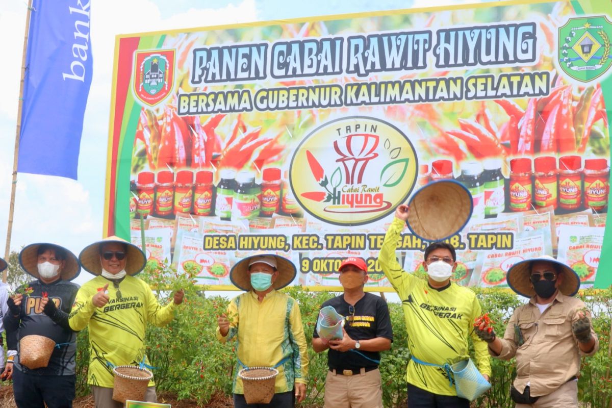 Gubernur Kalsel dukung pengembangan cabai rawit hiyung