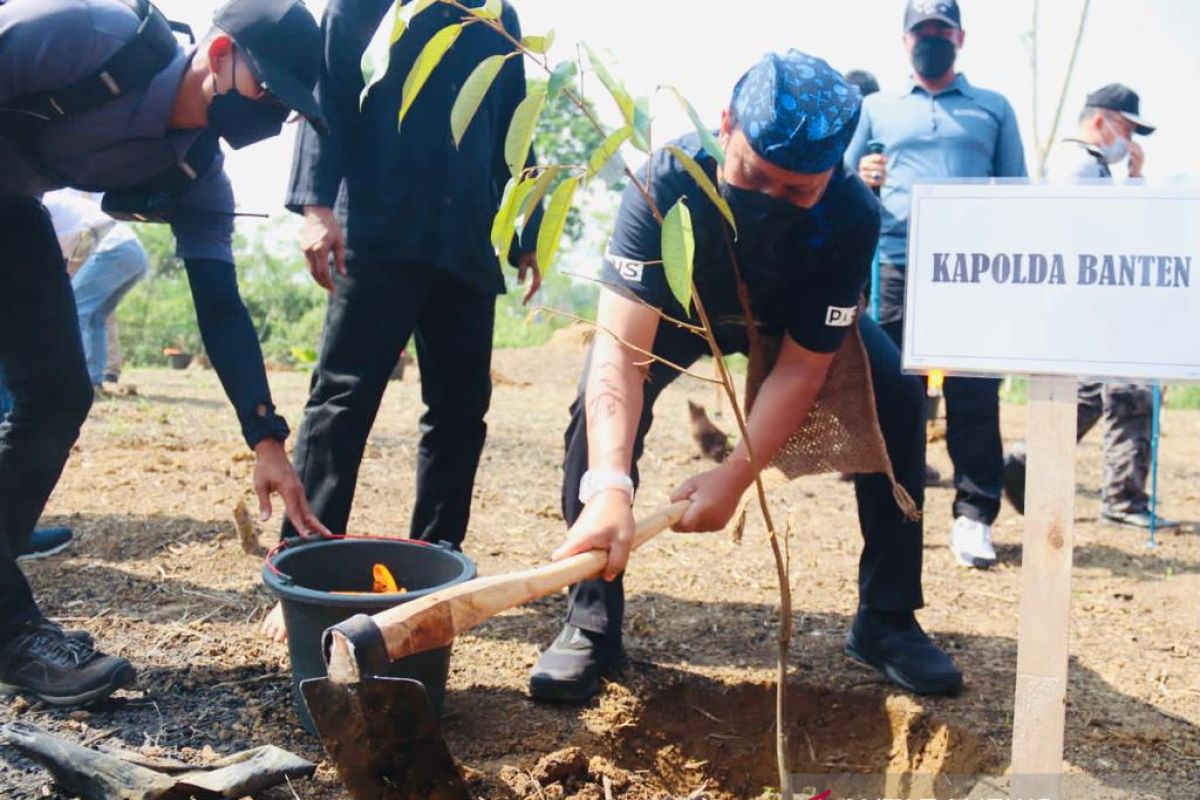 Kapolda Banten tanam pohon di Cikeusik Baduy