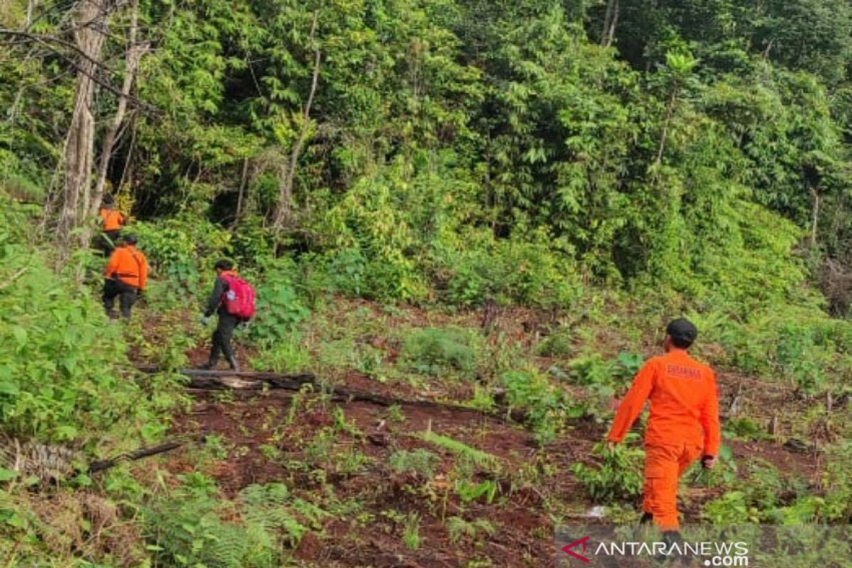 Basarnas hentikan pencarian terhadap petani hilang di hutan Mahalona Luwu Timur