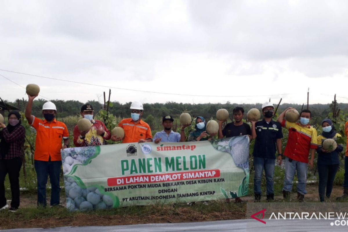 PT Arutmin tingkatkan pendapatan Poktan