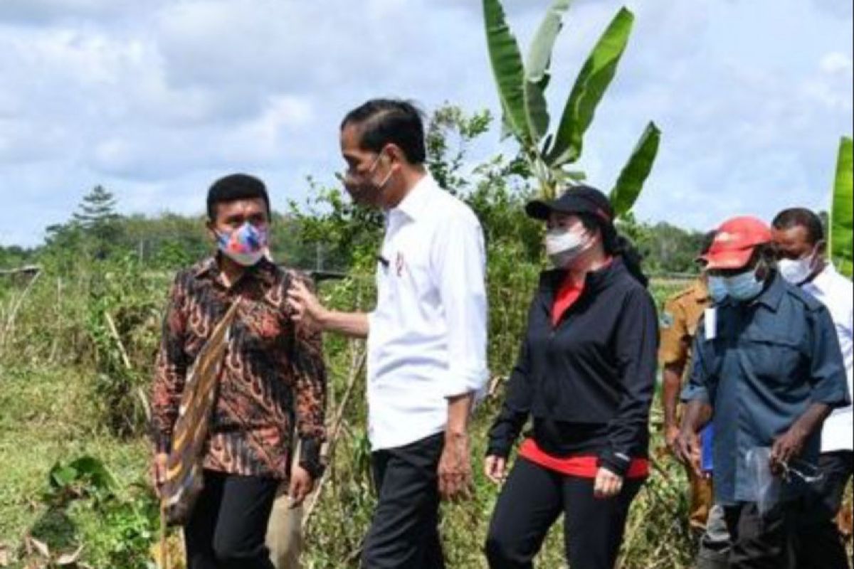 A tale of Jokowi's impromptu actions in Papua not caught on camera
